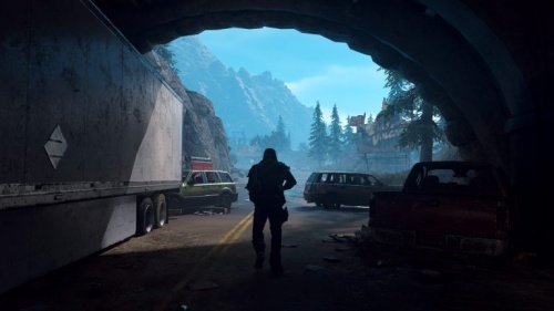Жизнь После (Days Gone)[PLAYSTATION 4]