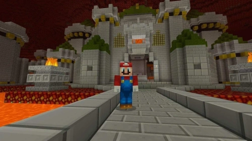 Minecraft[NINTENDO SWITCH]