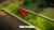 3D Minigolf [PLAY STATION 4]
