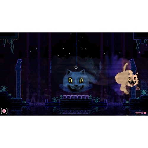 Animal Well [NINTENDO SWITCH]