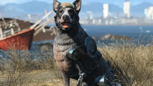 Fallout 4: Anniversary Edition (Code in a Box) [NINTENDO SWITCH 2]