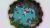 Naiad [SWITCH]