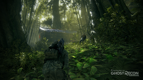 Tom Clancy's Ghost Recon: Wildlands[PLAY STATION 4]